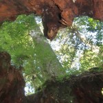 相続・遺言のトラブルで困っていませんか？