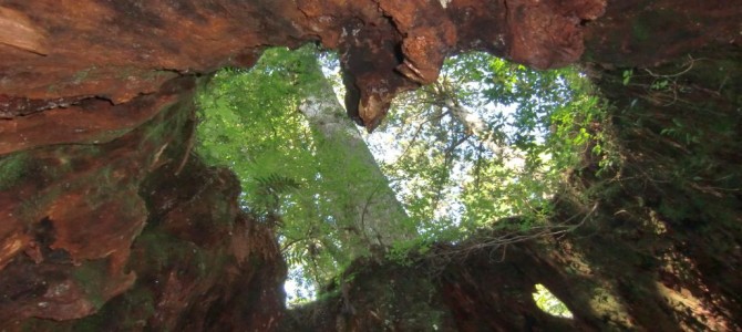 相続・遺言のトラブルで困っていませんか？