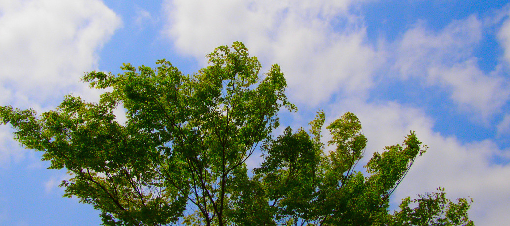 農地の【相続】【売買】そのほかで困ったら
