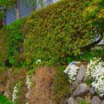 【空き家 問題】を抱えてしまったら　