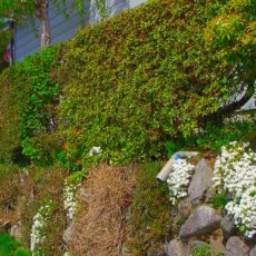 【空き家 問題】を抱えてしまったら　