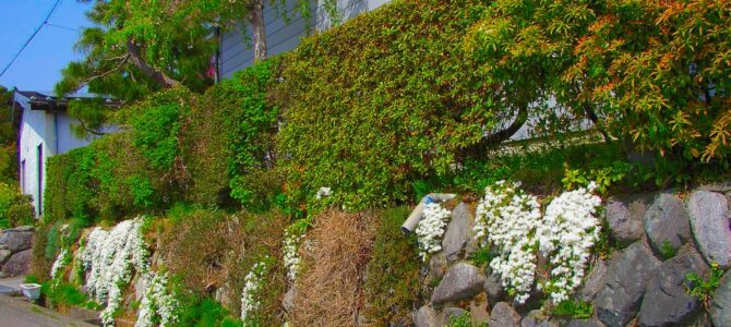 【空き家 問題】を抱えてしまったら　