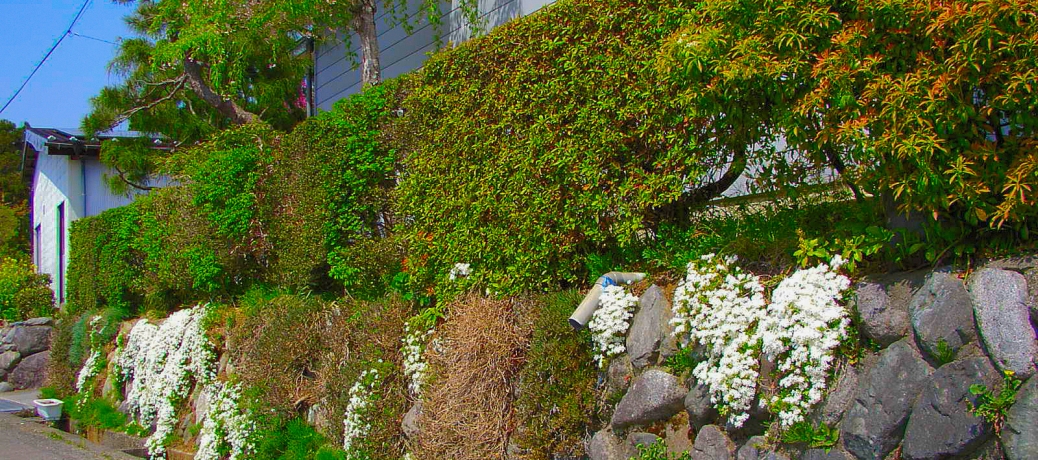 【空き家 問題】を抱えてしまったら　