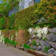 【空き家 問題】を抱えてしまったら　